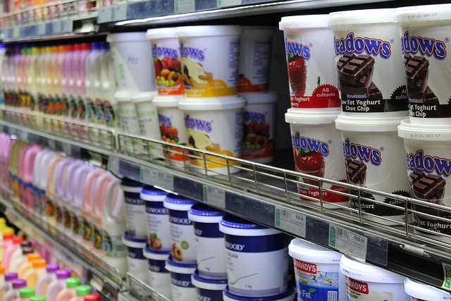 Free Yogurt Dairy photo and picture