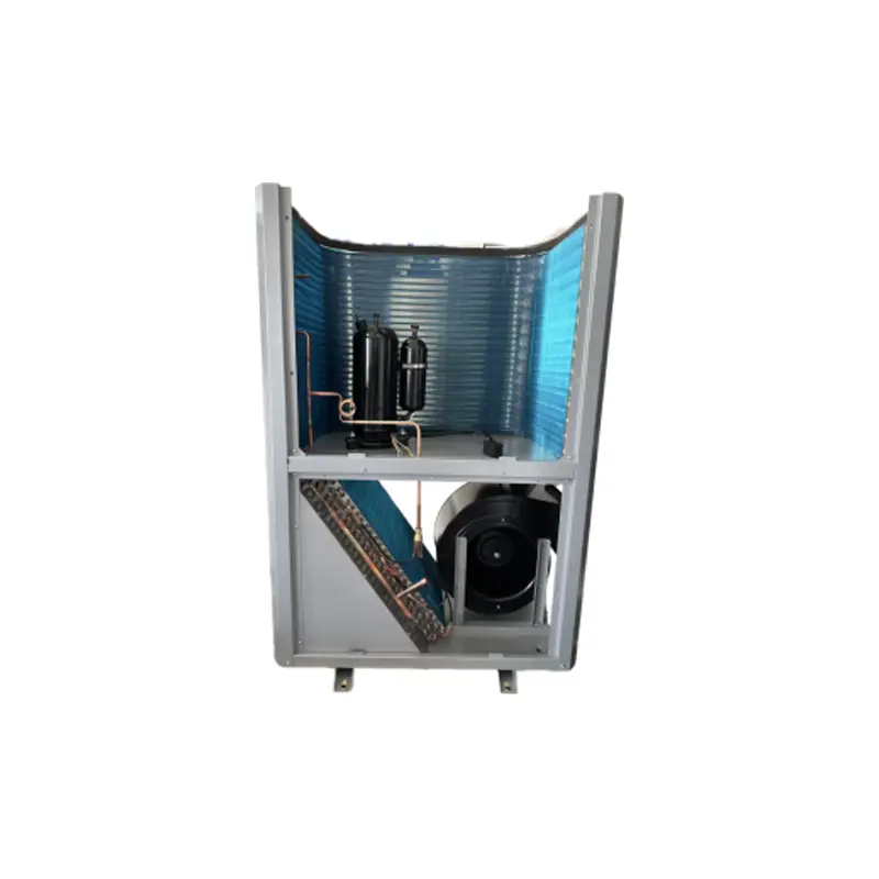 Food dried fruit drying equipment heat pump drying unit