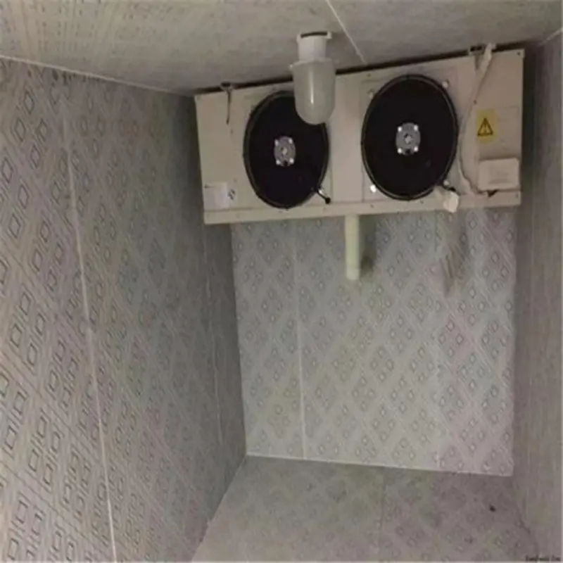 Small cold storage machine (3).jpg